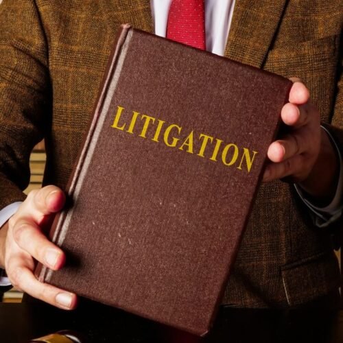Litigation Lawyer